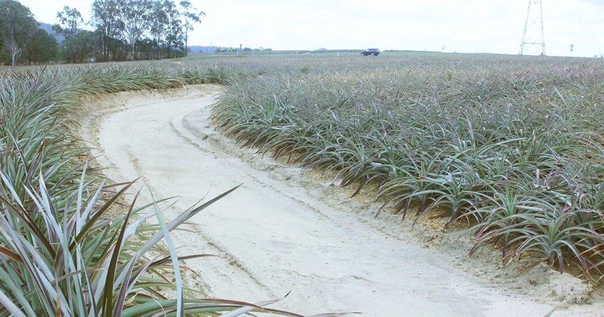 Momentum continues for SEQ practice improvements
