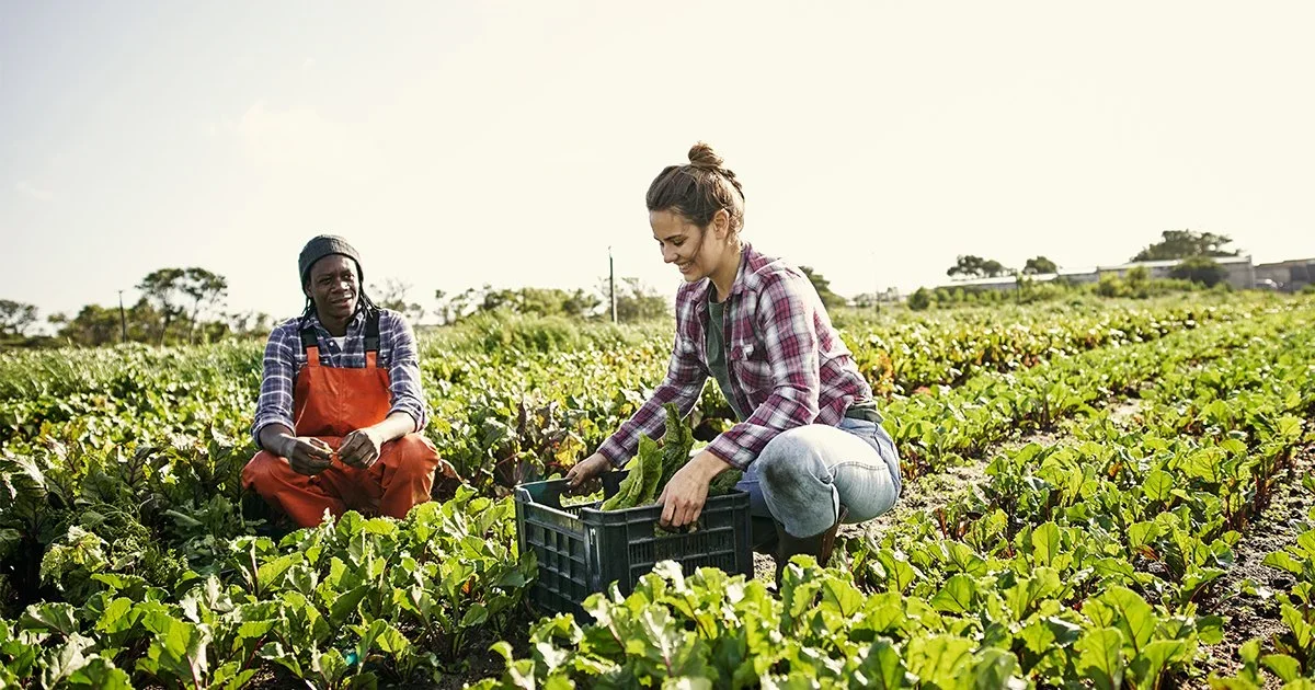 Responding to horticulture’s training needs
