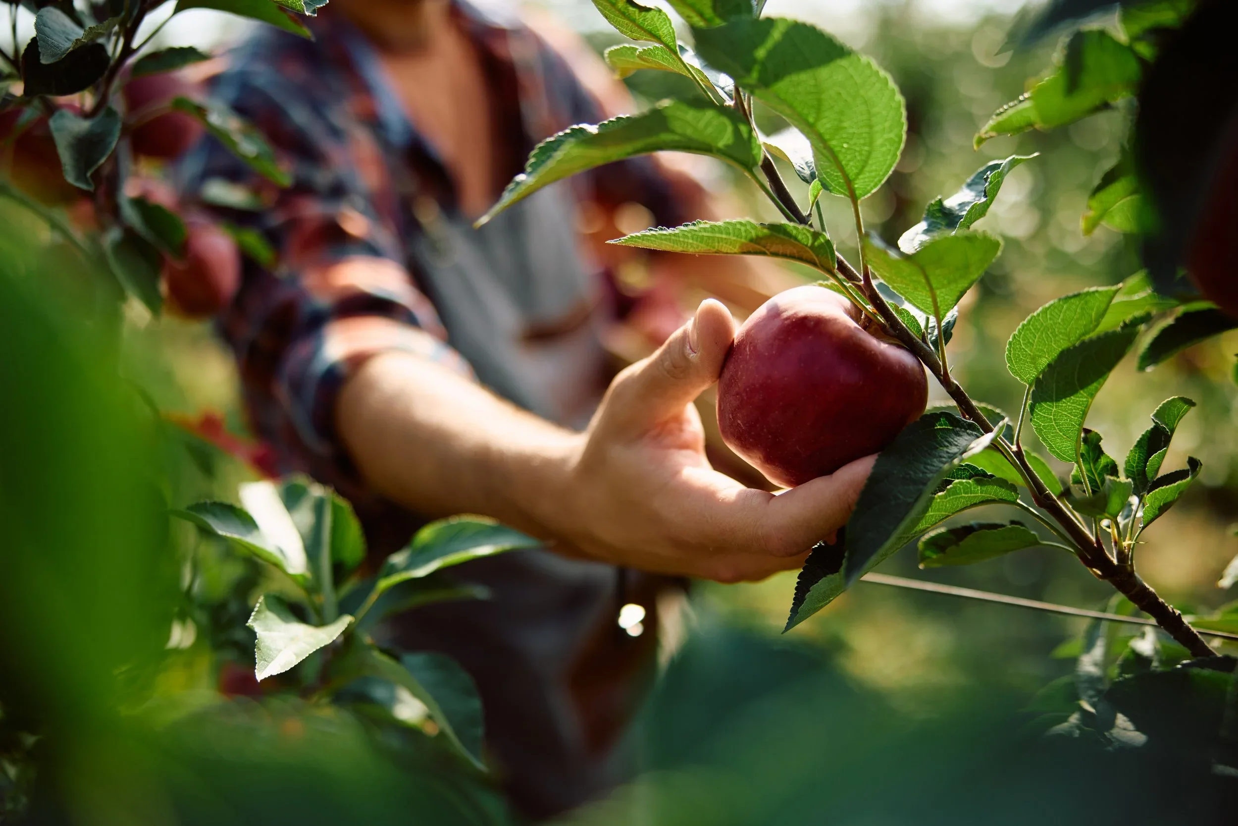 From risky to ready: Taking control of farm risks