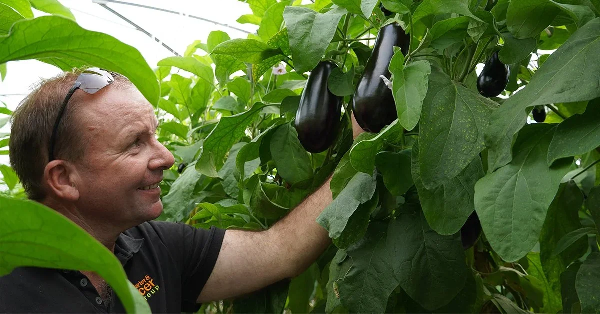 Shipshape greenhouses a win for the Reef