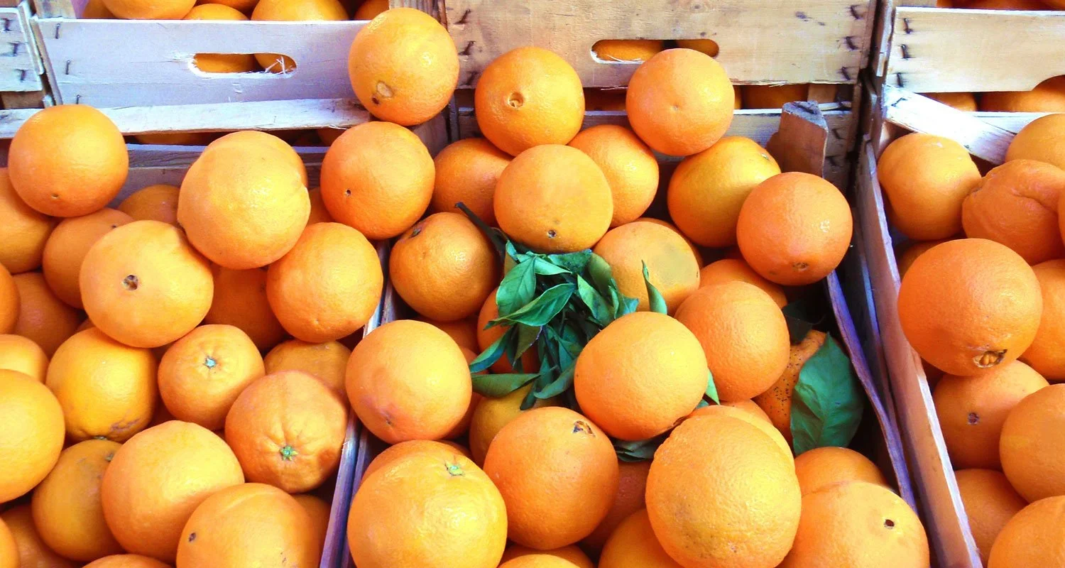Commodity In Focus: Citrus