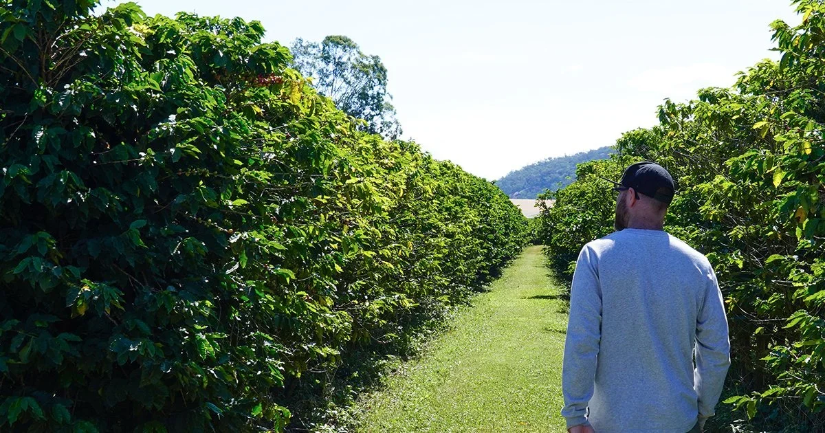 Walkamin grower protecting people, planet, and prosperity
