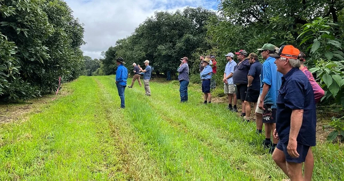 Spray optimisation: good for the environment and your bottom line
