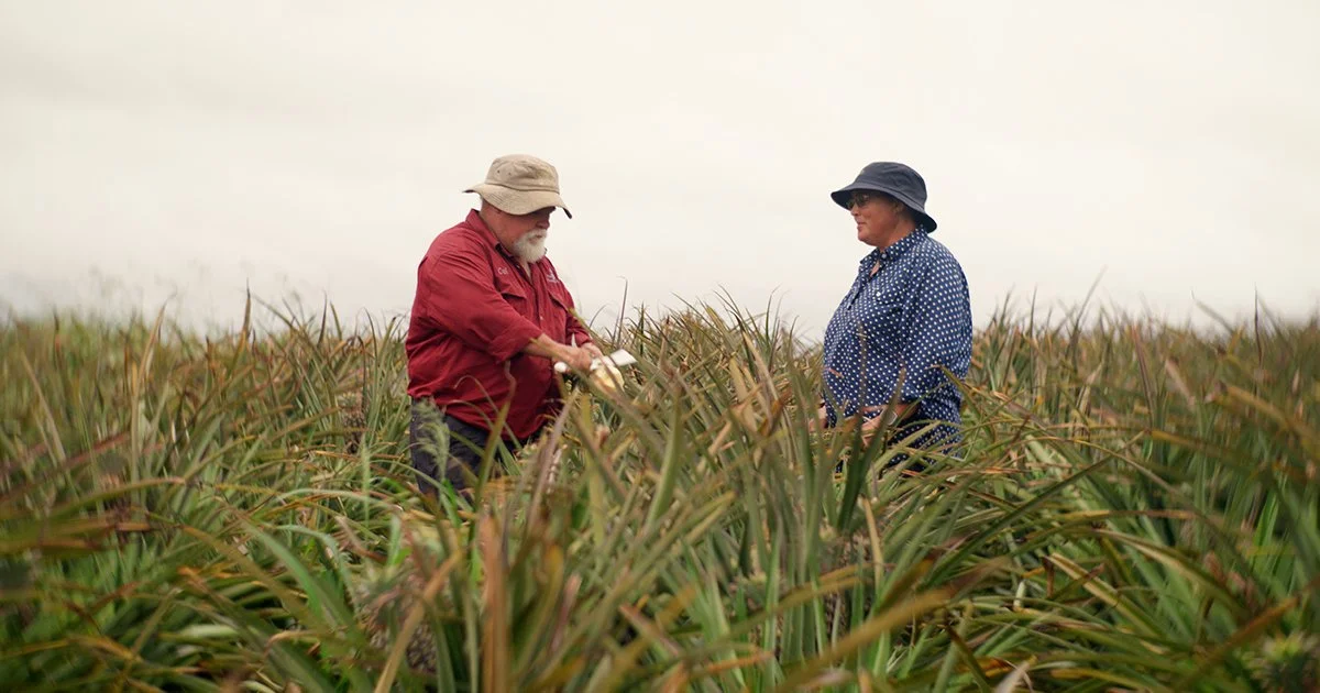 Building healthy soils, protecting waterways