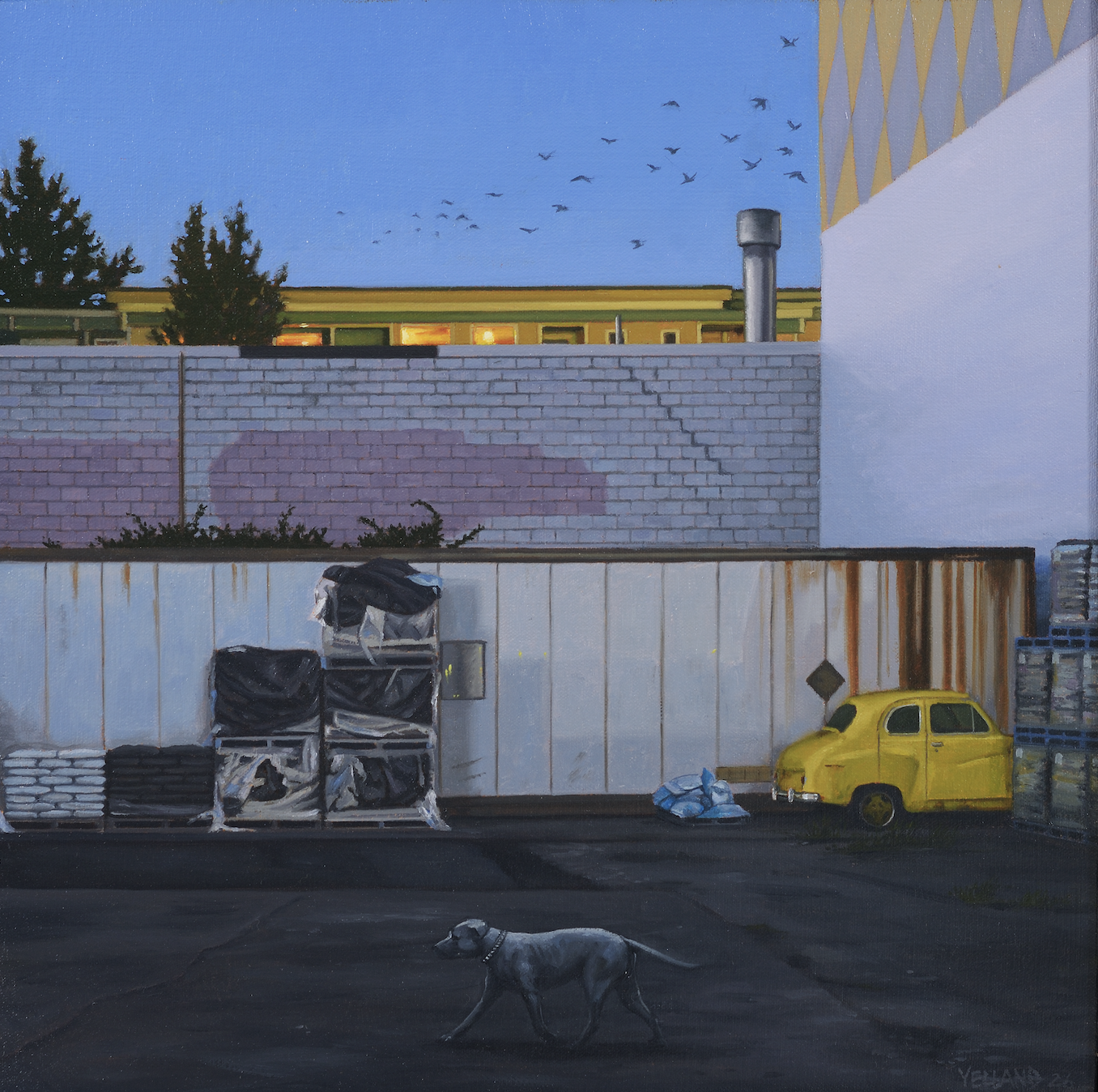 16 x 16  Oil on Canvas SOLD (Madrona Gallery, Victoria, BC)