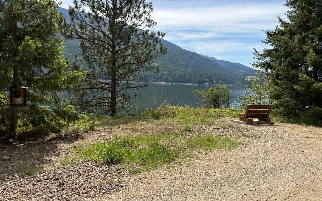 Honouring Baxter Bridge: New Benches Installed Along the Rail Trail
