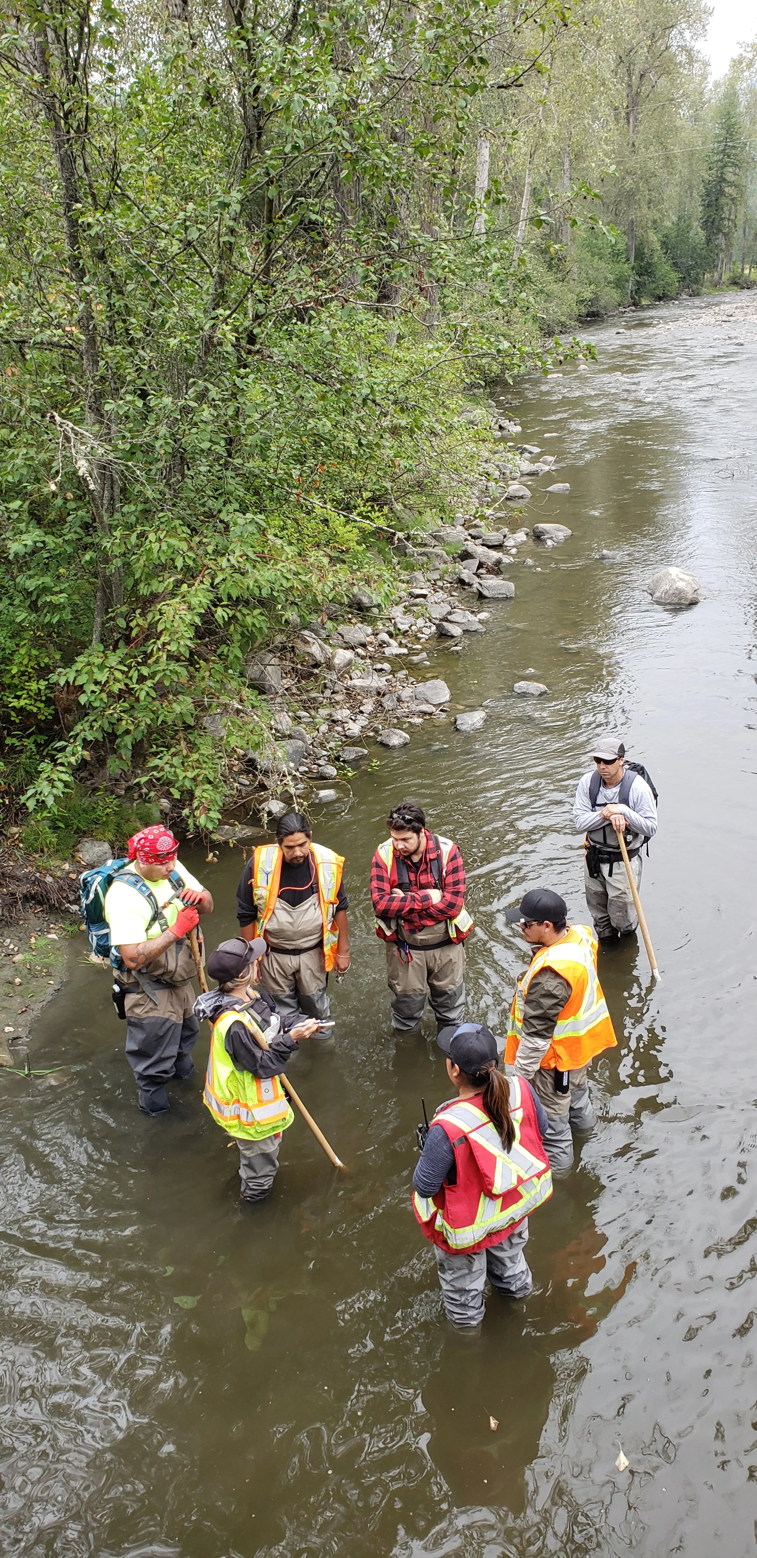 Splatsin fisheries stock assessment crew conducting instream training on Bessette Creek, August 2021.