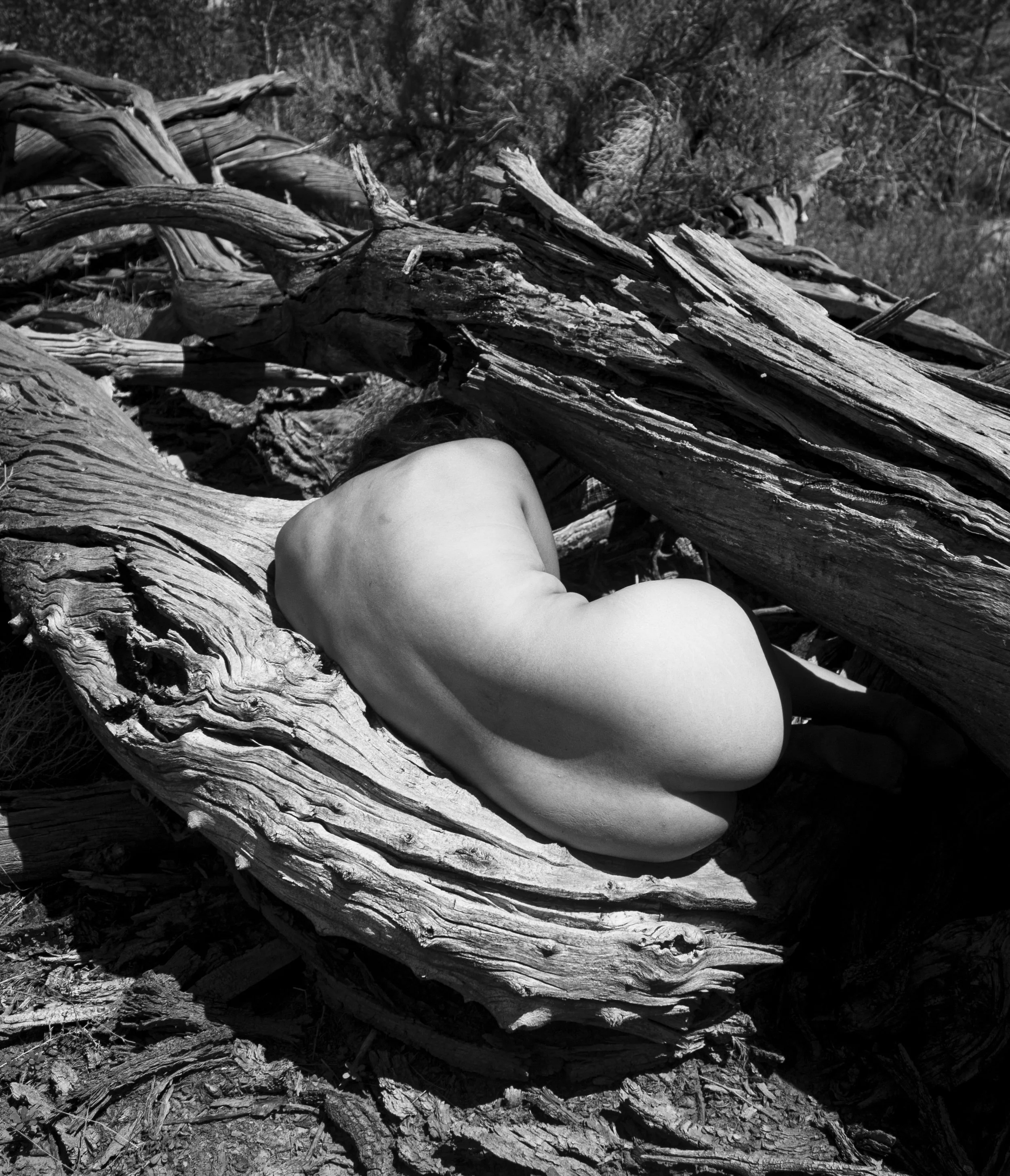 nature nudes_3.jpg