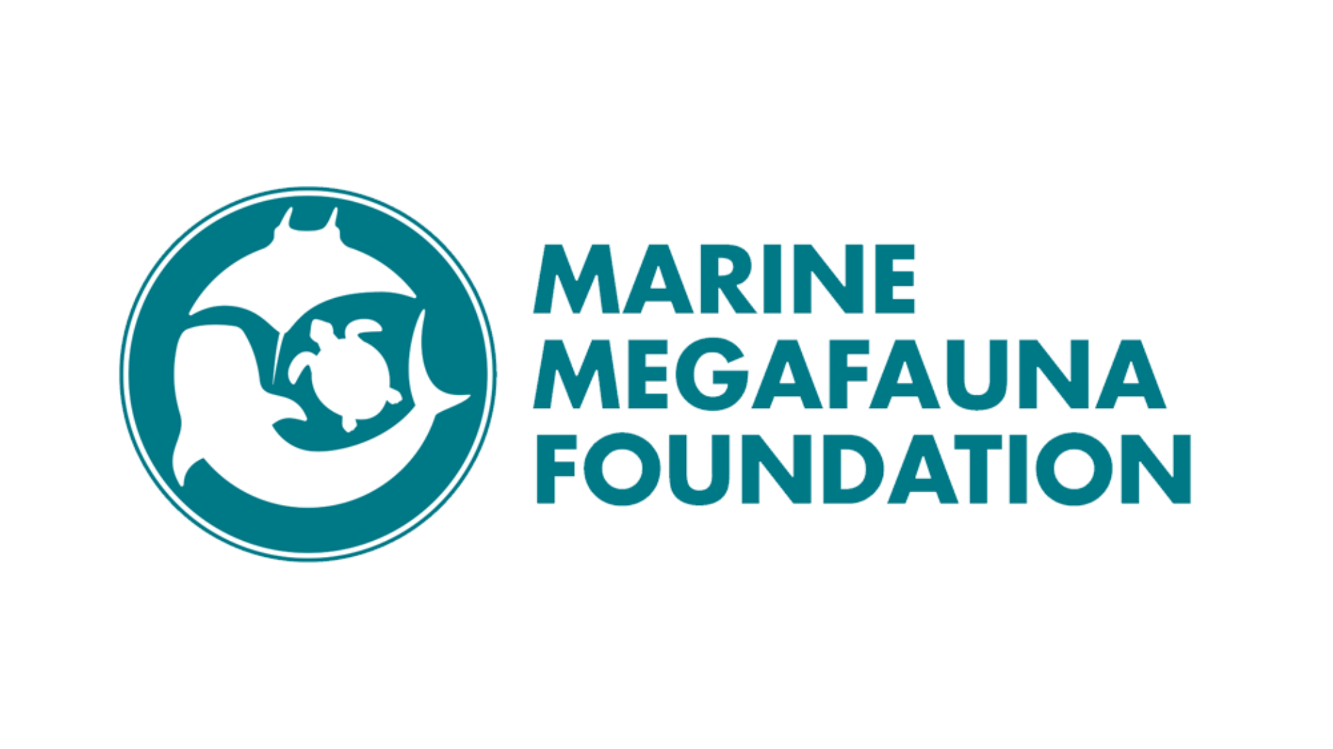 Marine Megafauna Foundation