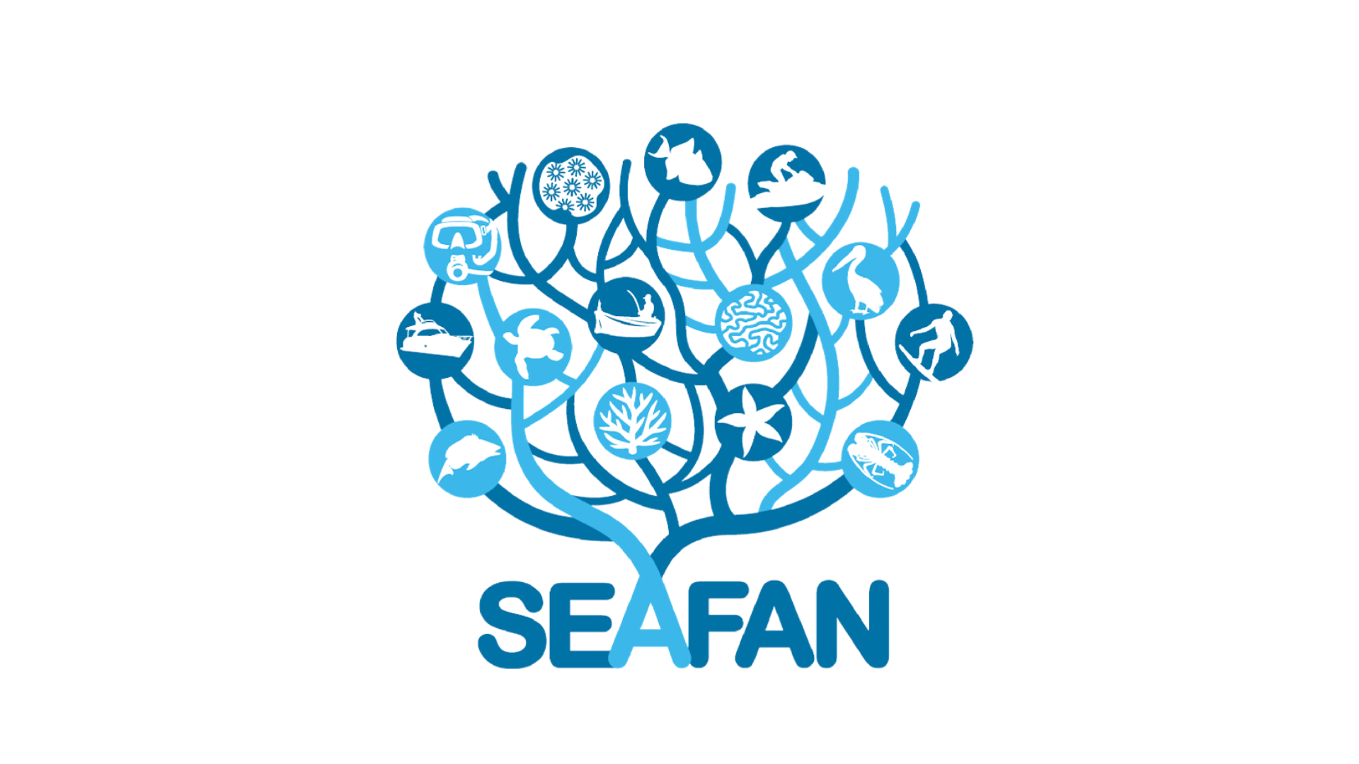 SEAFAN - The Southeast Florida Action Network