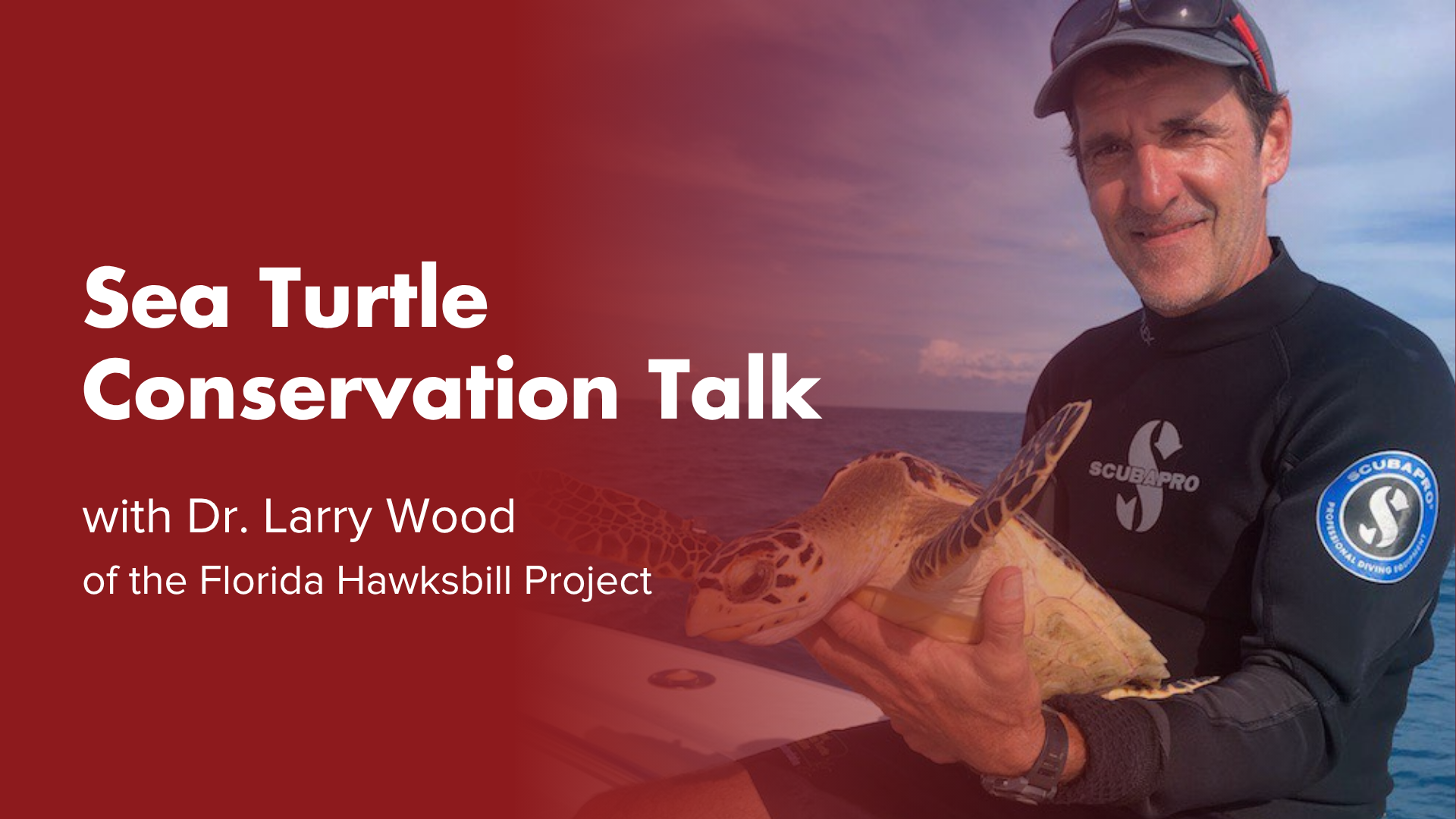 Sea Turtle Conservation Talk with Dr. Larry Wood