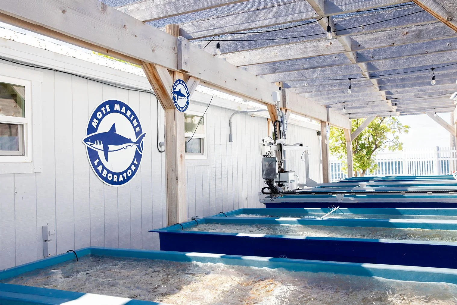 Mote Key Largo Coral Restoration Dive