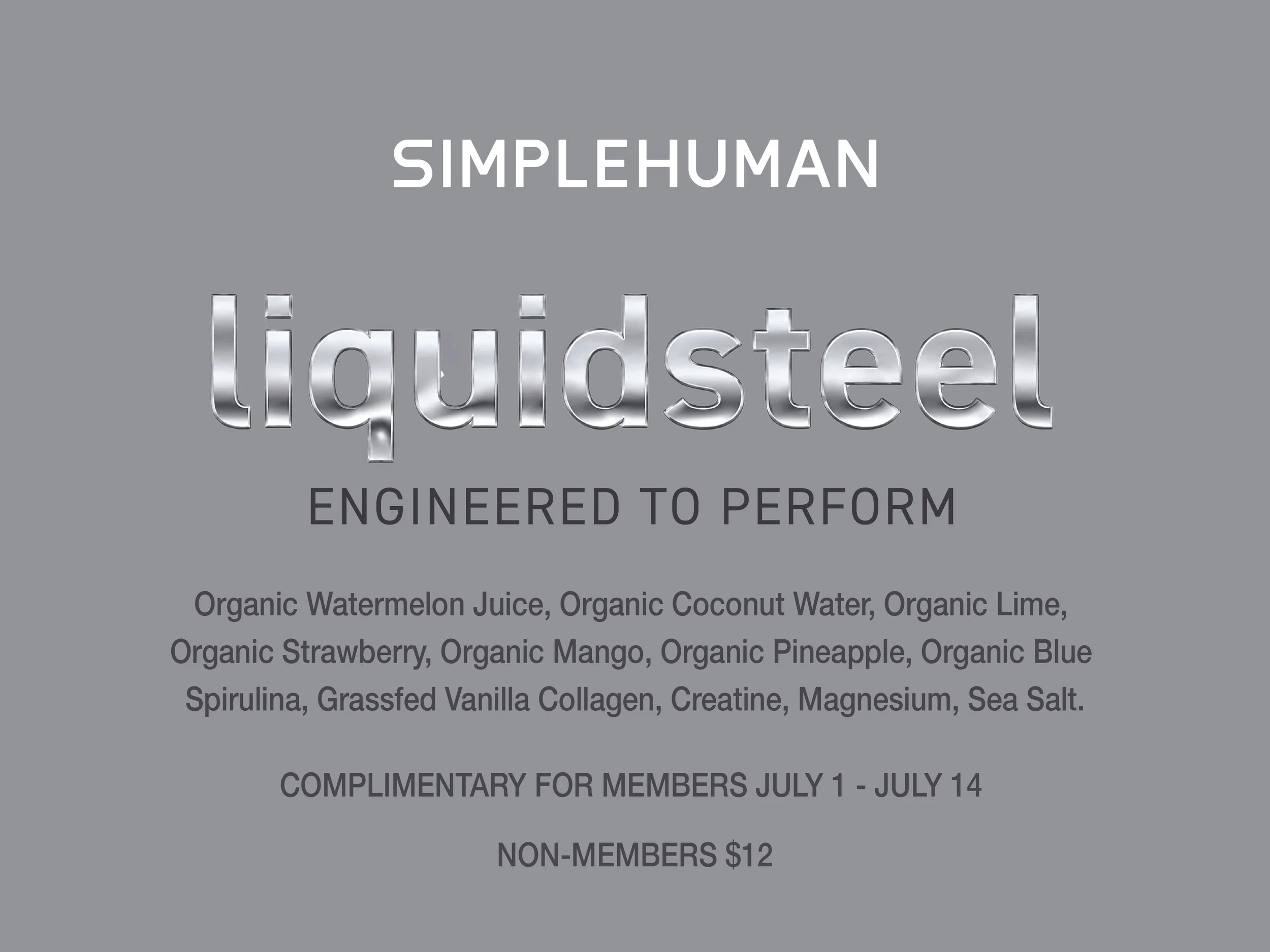 EREWHON LIQUID STEEL SMOOTHIE SIGN ART FILE.jpg