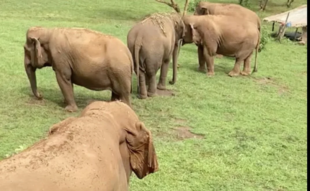 Screen Shot 2023-09-03 at 1.49.31 PM.jpg