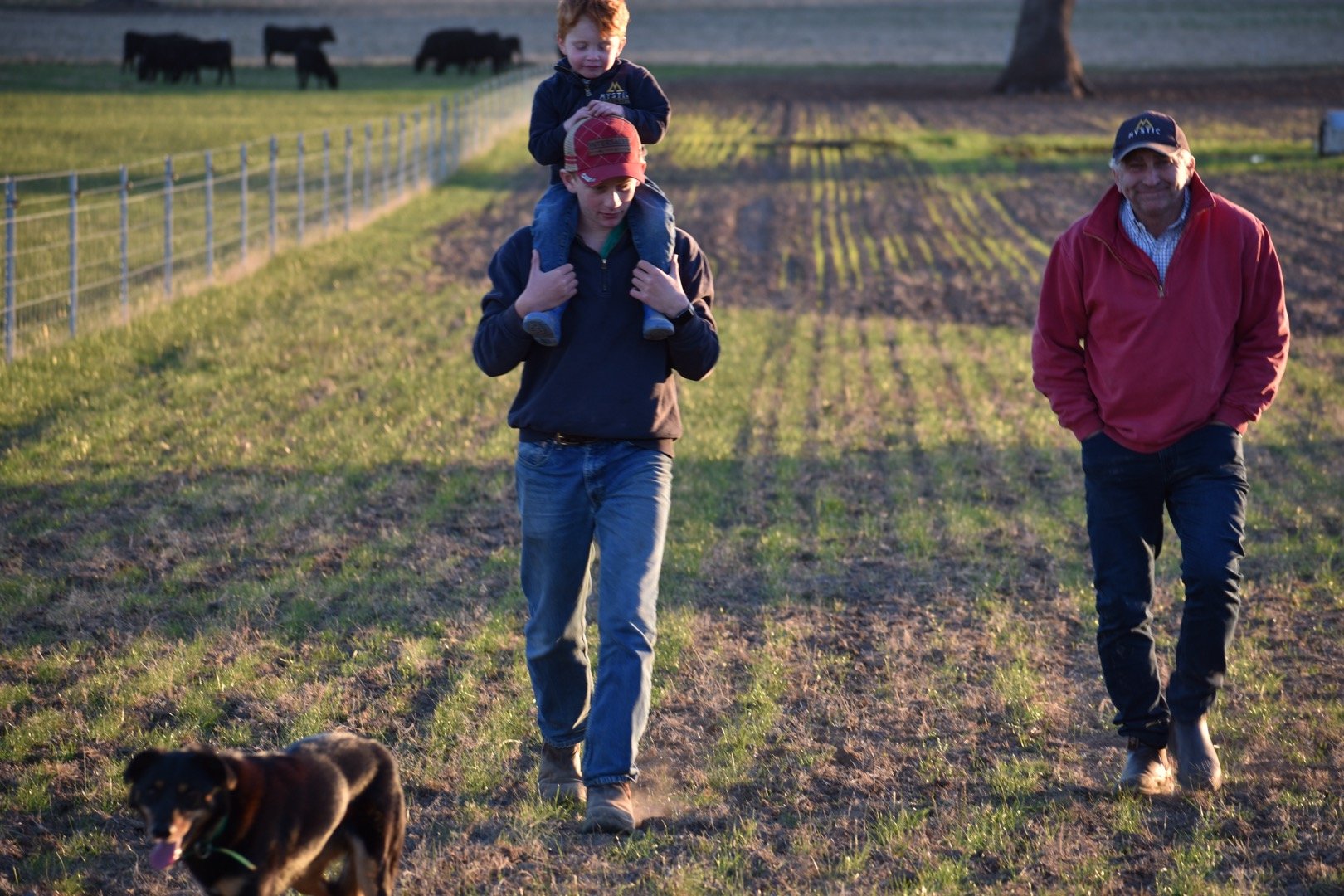 A boy with red hair sitting on a man's shoulders, walking in a farm field, with a dog in the foreground and a man walking beside them smiling, with cows and farmland in the background.