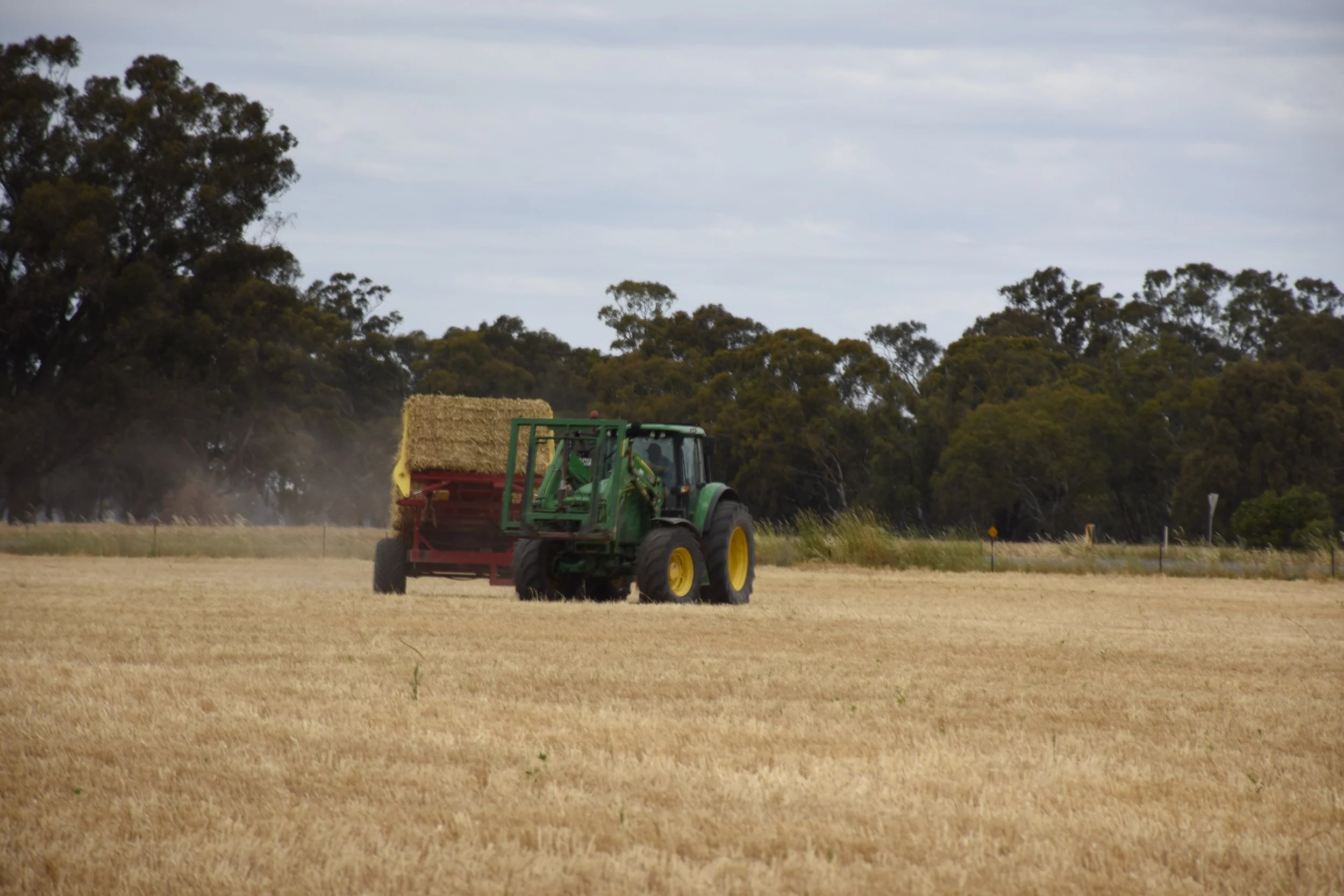 A green tractor pulling a hay wagon carrying a large hay bale in a field with trees and a cloudy sky in the background.