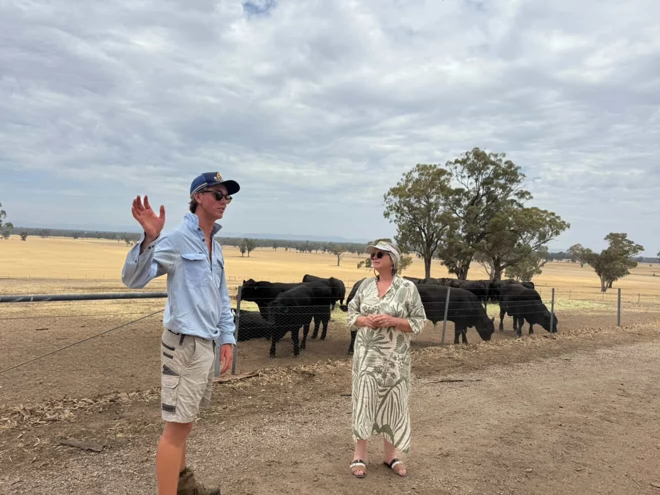 Two women standing near a cattle enclosure with a herd of black cows and a rural landscape background