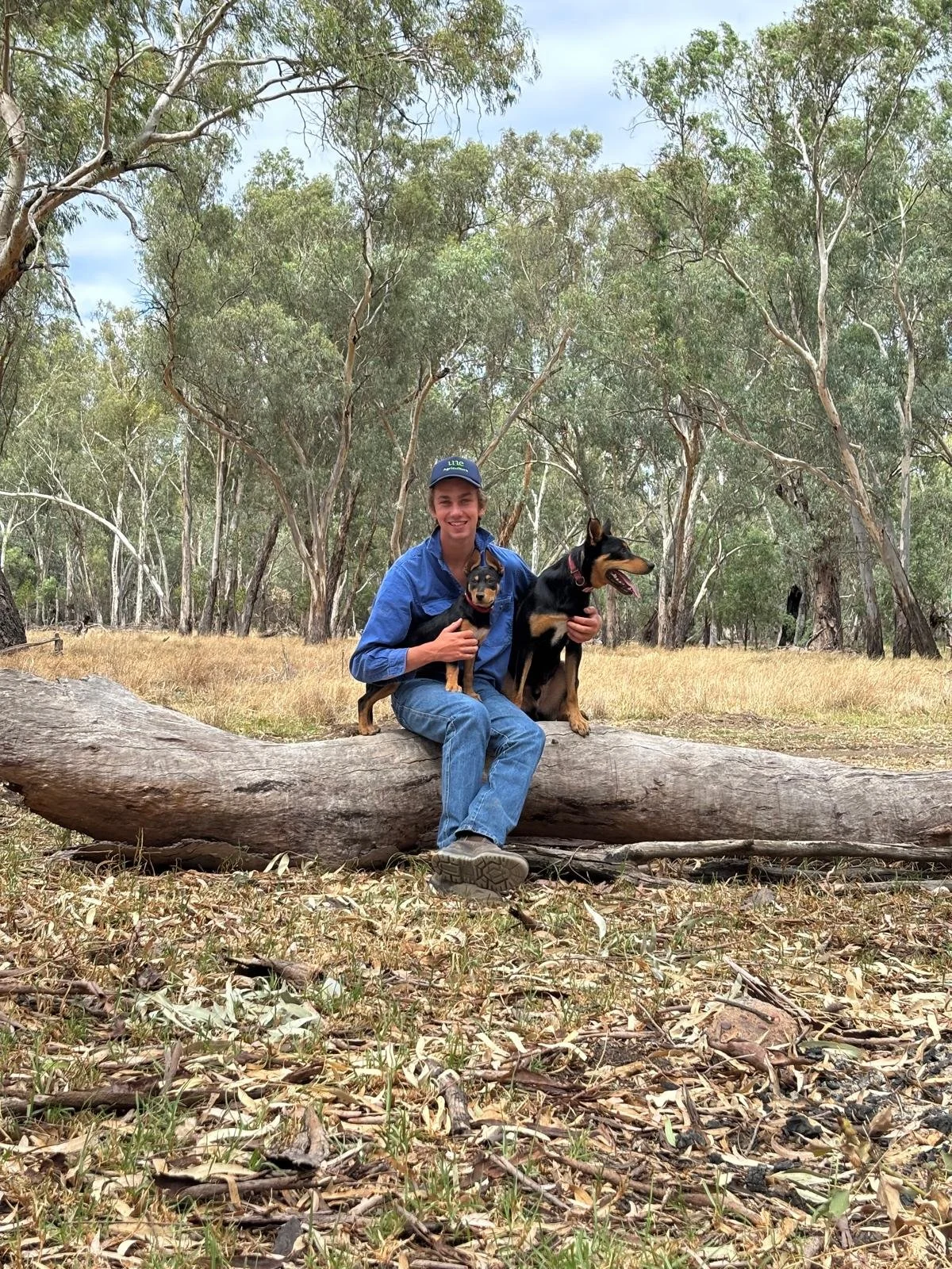 A person sitting on a fallen tree in a wooded area, holding two dogs, smiling, with trees and grass around.