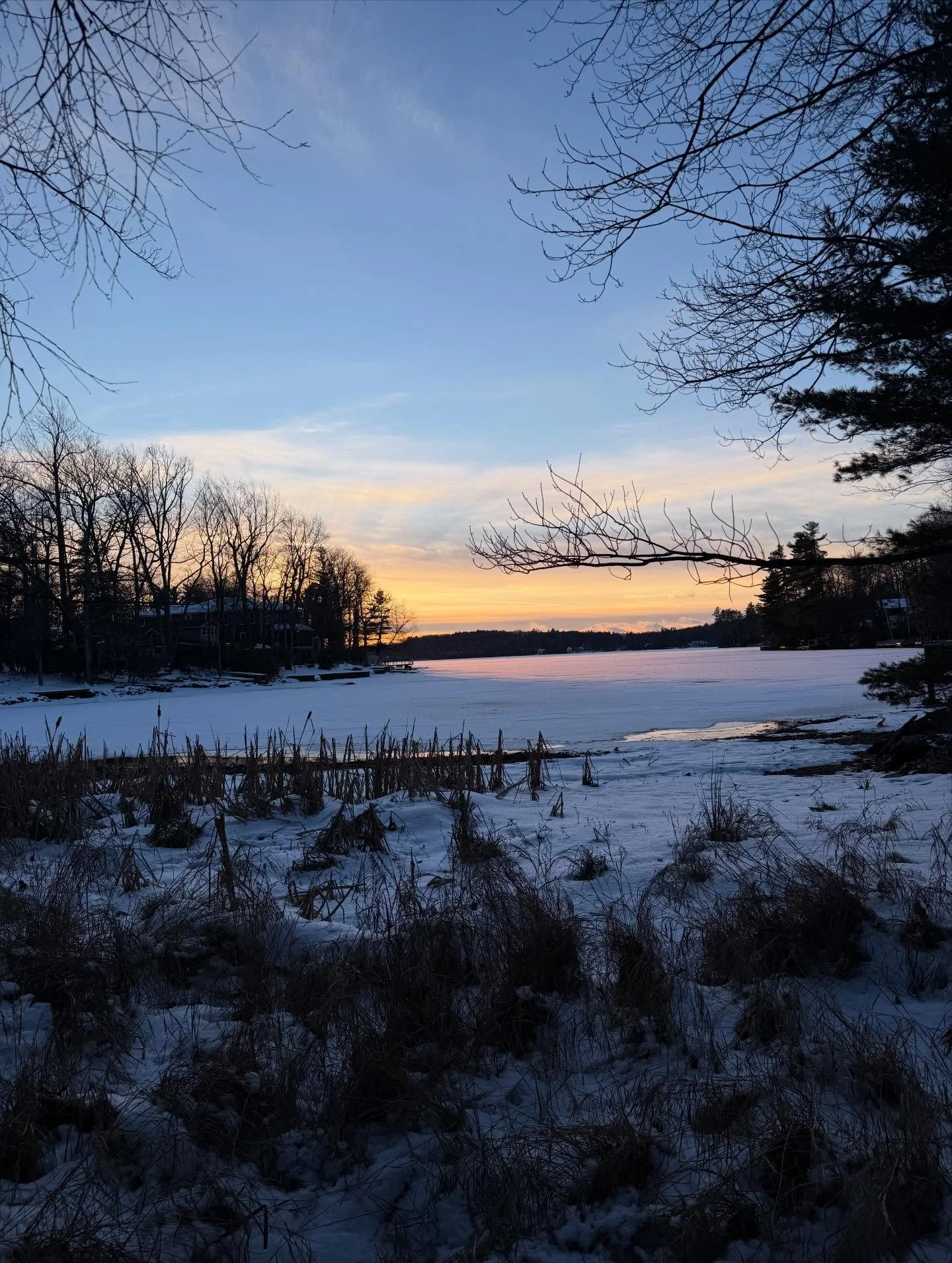 Merry Christmas!🎄