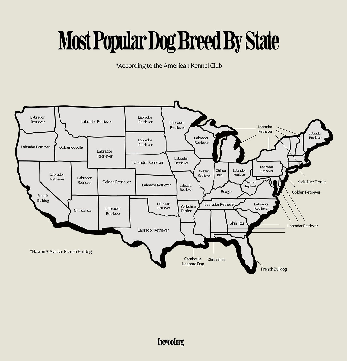 Labs have been voted America&rsquo;s favorite breed for 31 consecutive years in a row. Learn more about each state&rsquo;s favorite breed at the link in our bio.