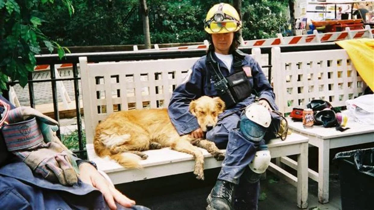 The Dogs of 9/11: Remembering the Search, Rescue and Guide Dogs of September 11