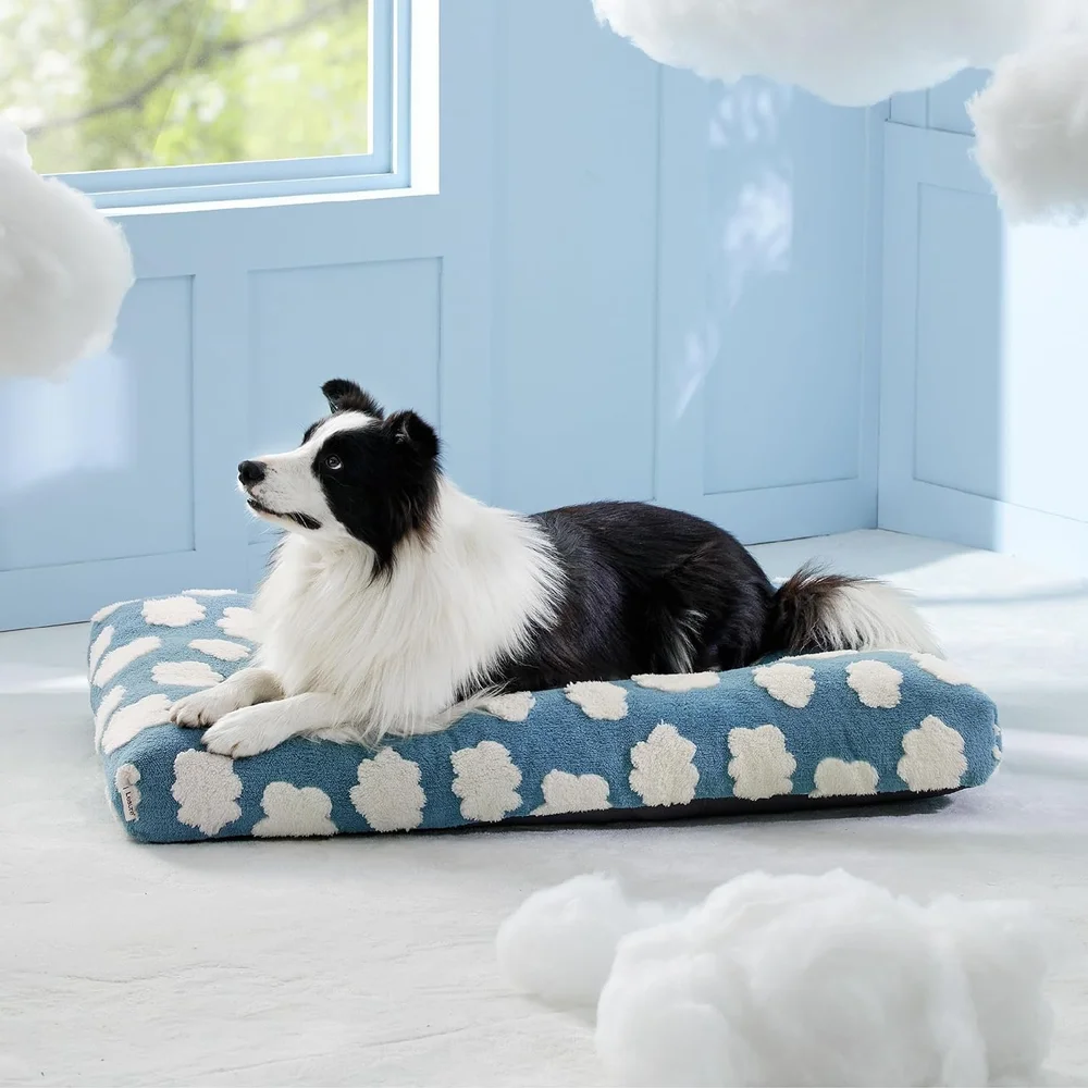 We Found the Most Aesthetic Dog Beds So You Don’t Have To — The Woof