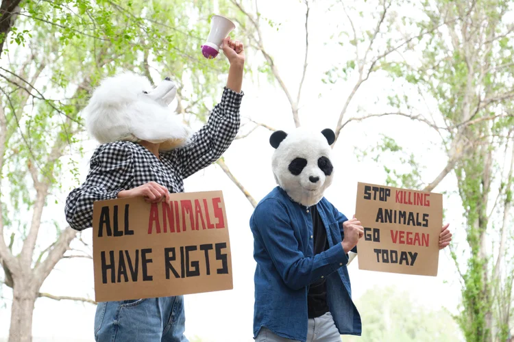 What is the Difference Between Animal Rights and Animal Welfare — The Woof