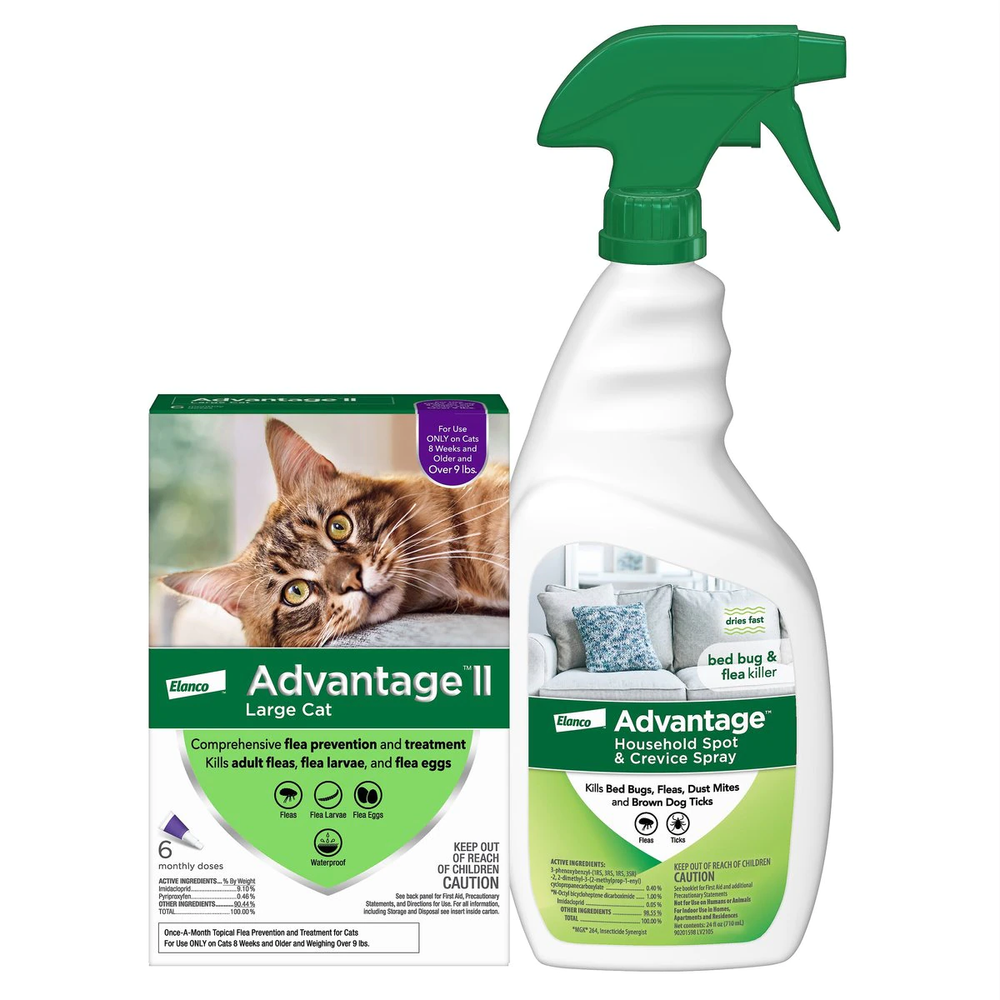 The Ultimate Guide to Flea Prevention for Your Pet This Summer — The Woof