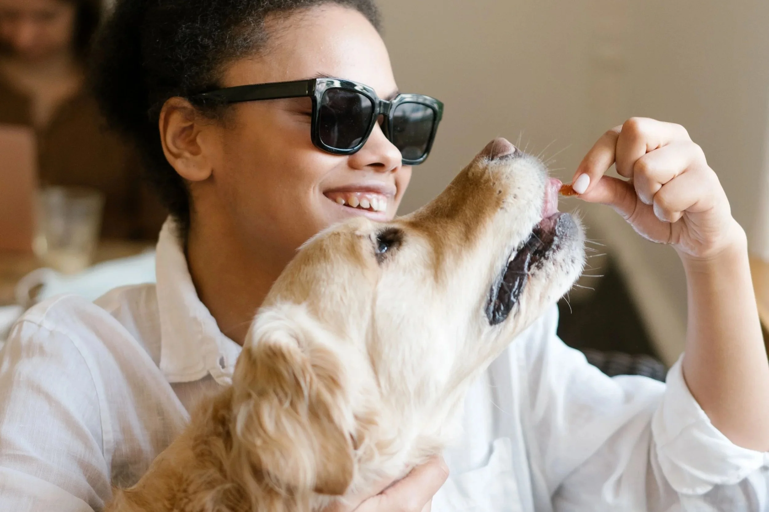 Is CBD Safe for Your Dog? The Risks, Benefits &amp; What to Know