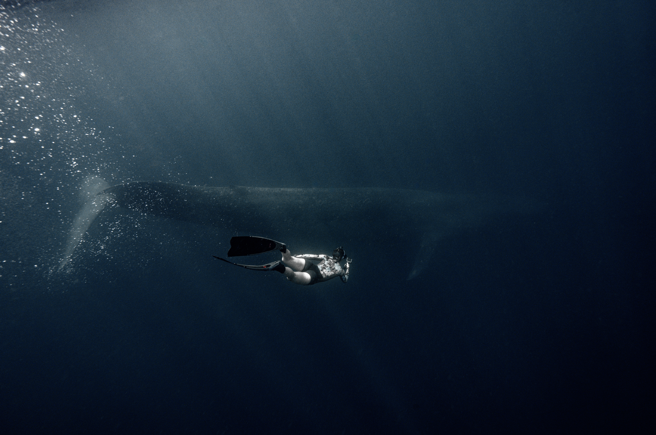 Screenshot 2026-02-05 at 8.50.39 PM.png