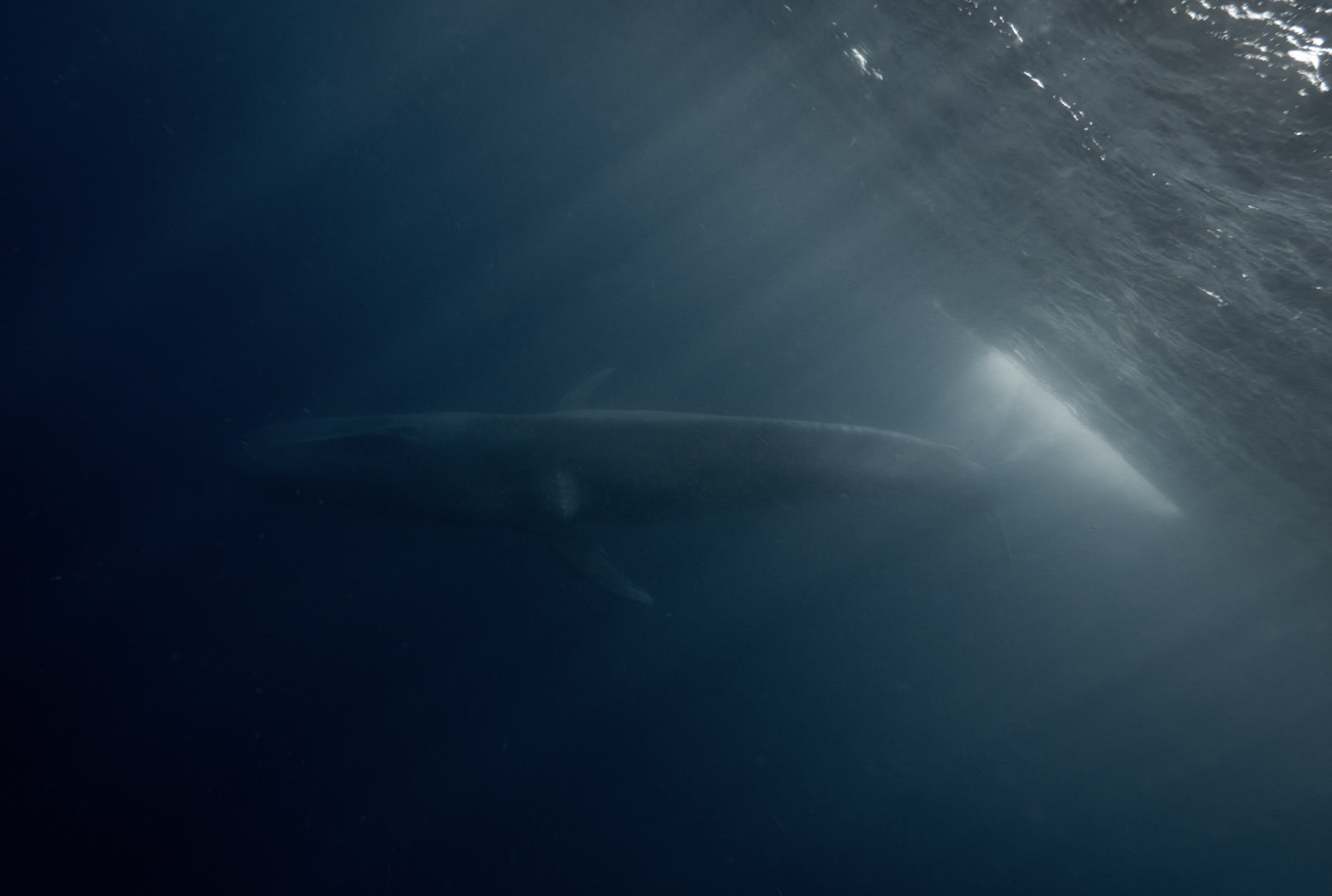 Screenshot 2026-02-05 at 8.51.00 PM.png