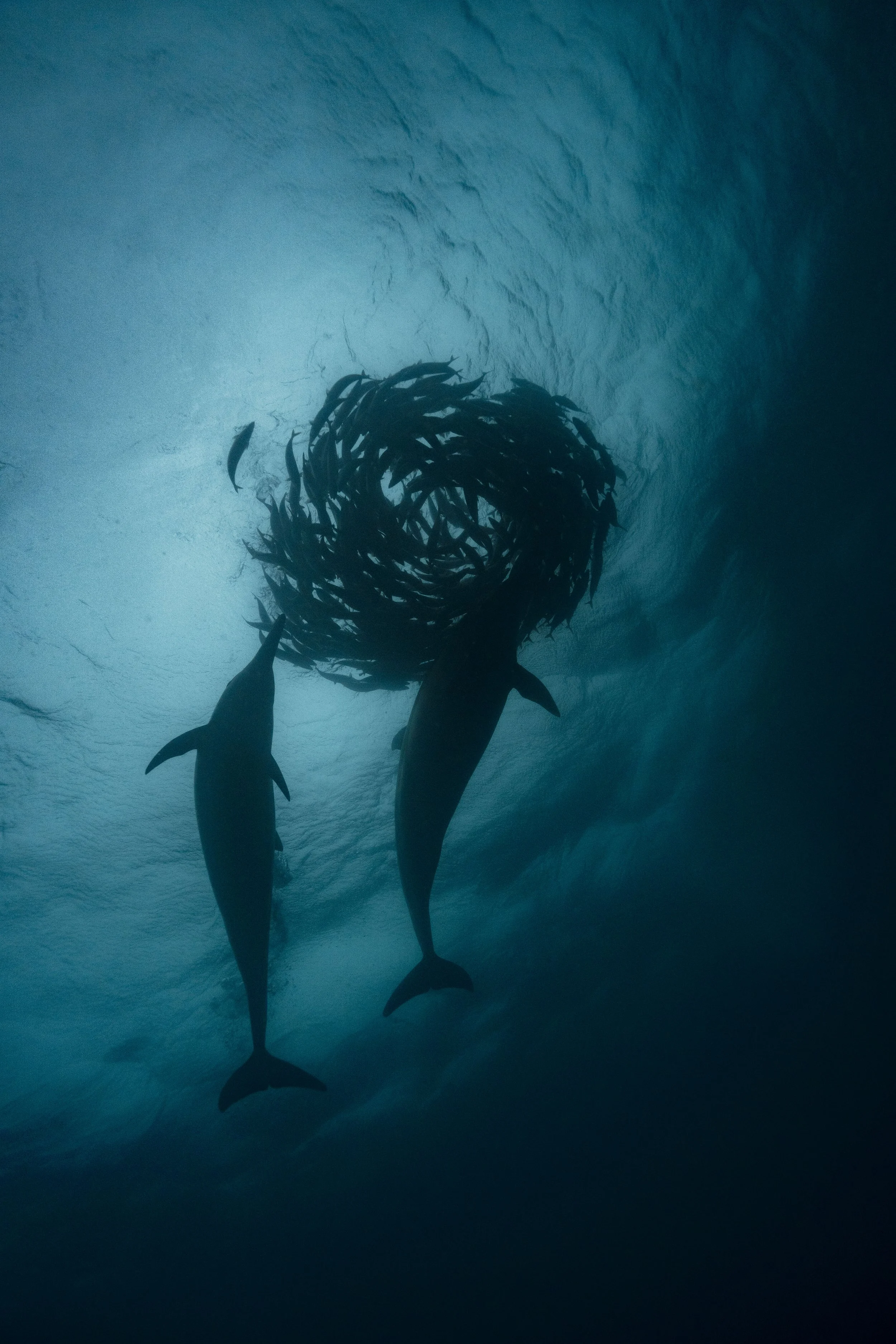 20250712 - untitled - DSC08236.jpg