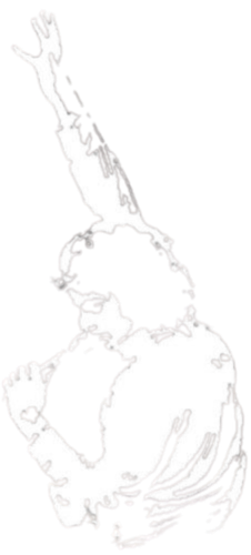 Neil Diamond silhouette.