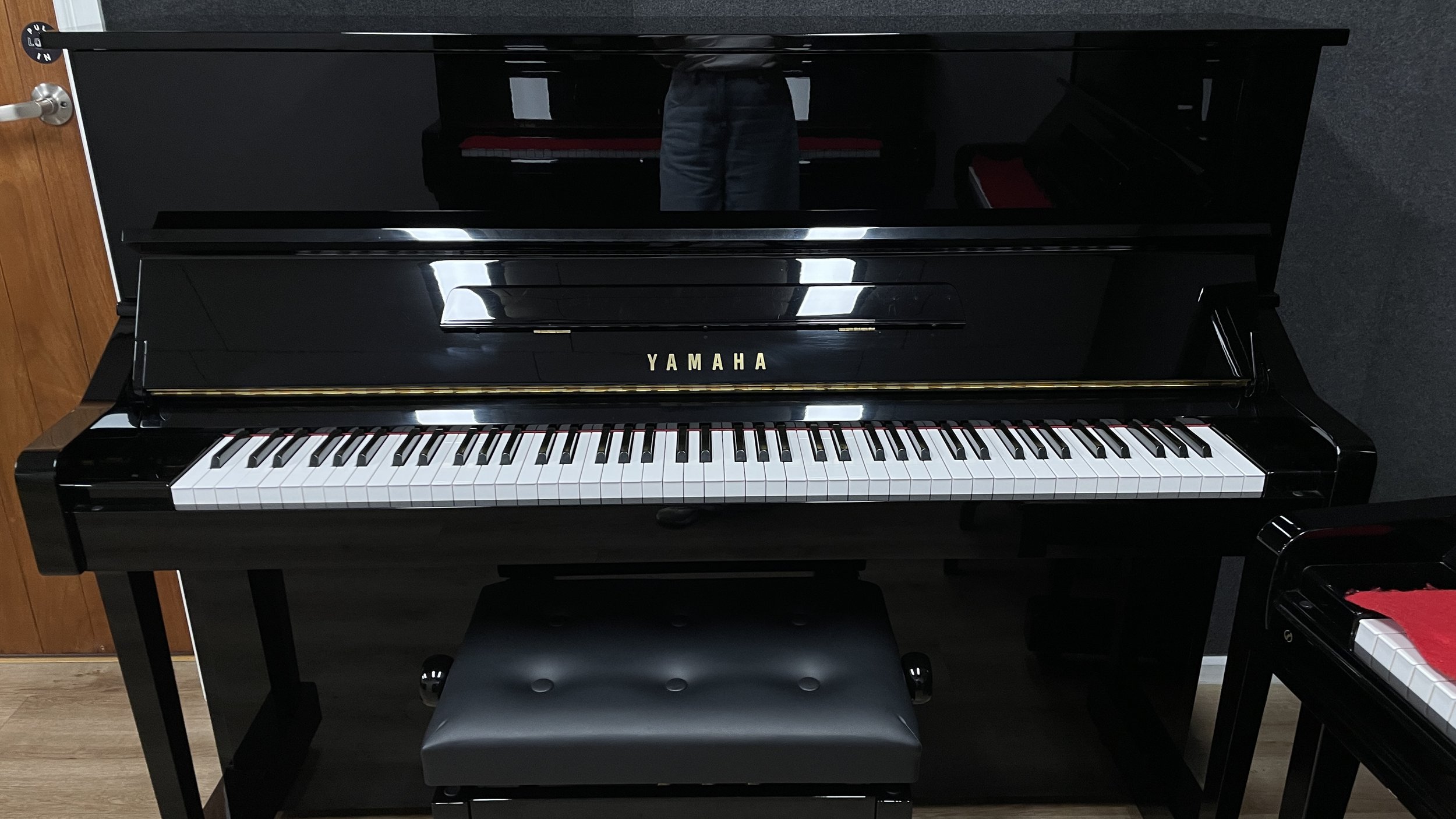 YAmaha YM10 (1).jpg