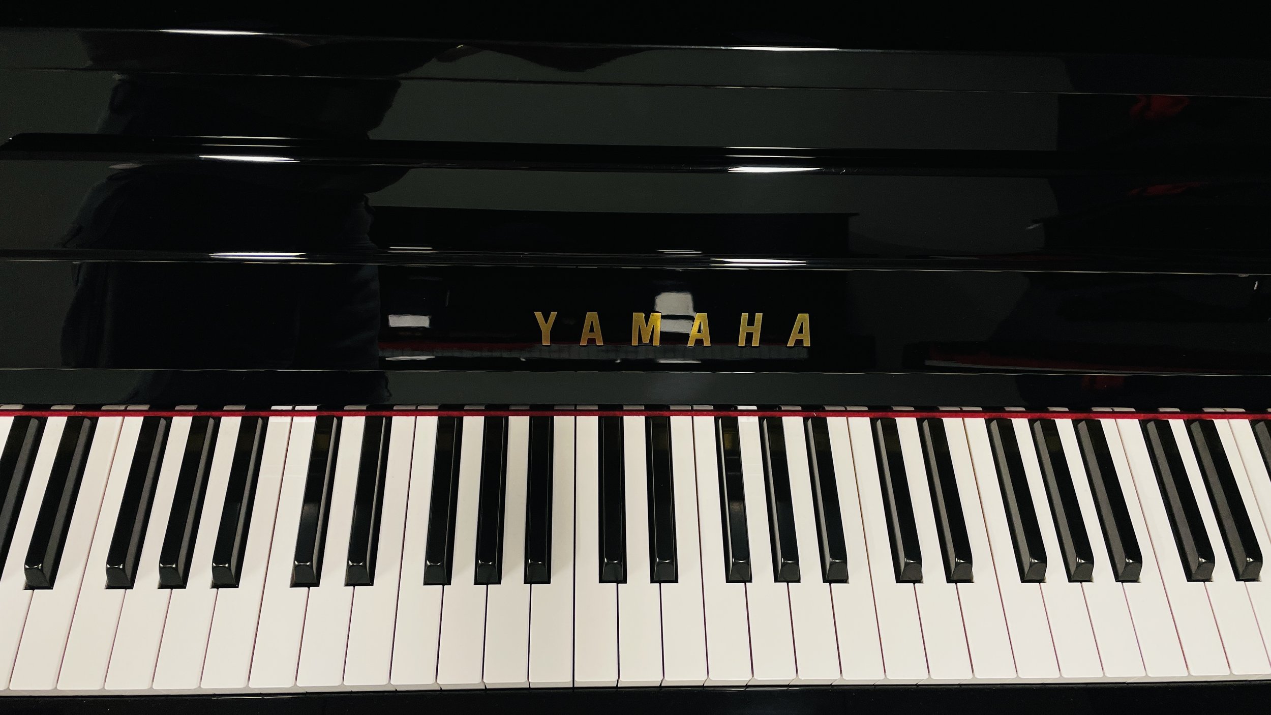 YAmaha YM10 (3).jpg