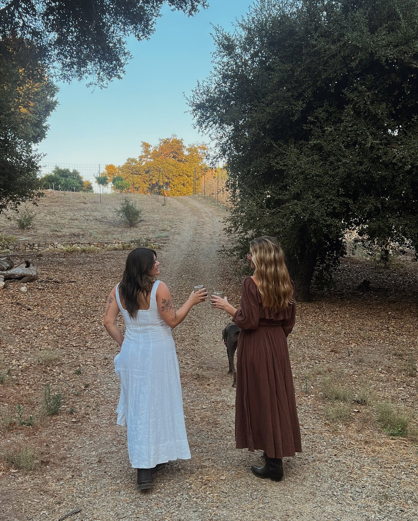 Evening Farm Walks with Friends 🤎 Check out &ldquo;The Free Range Life&rdquo; blog at the link in highlights 

@freerange_interiordesign 
@briana.galloway 
White Dress: @dissh 
Brown Dress: @freepeople 
Black Cowboy Boots: @tecovas