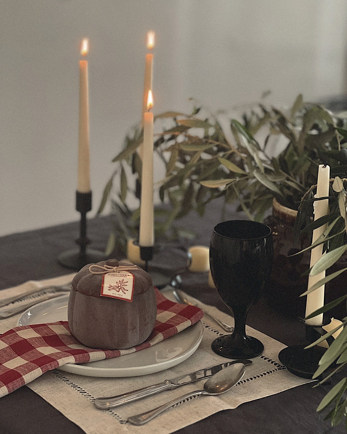 HARVEST TABLESCAPE

I love the art of blending unique pieces from every season to create the ideal tablescape for any event. Here I&rsquo;m setting up for a Halloween/Harvest get together, only new item purchased was the pumpkin candle! Check out the