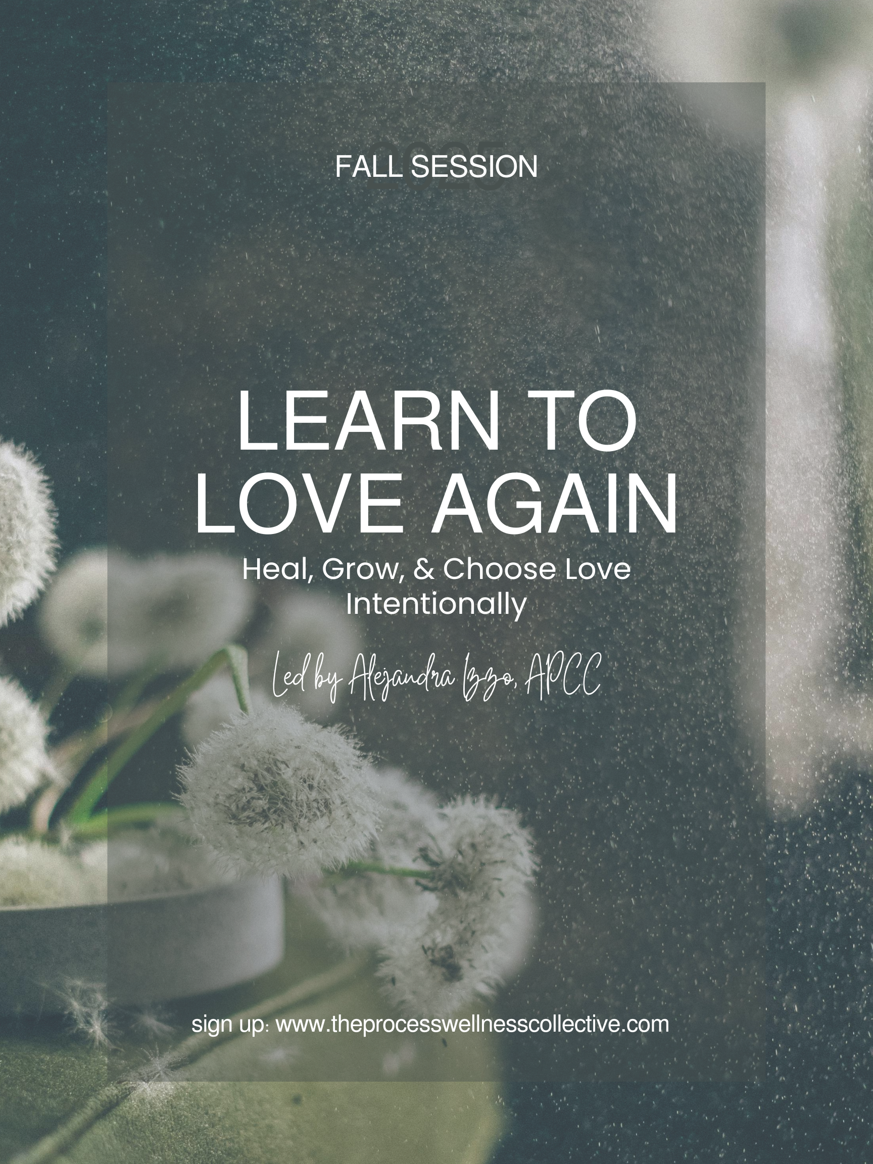 Learn to Love Again: An 8-Week Group to Heal, Grow & Choose Love Intentionally