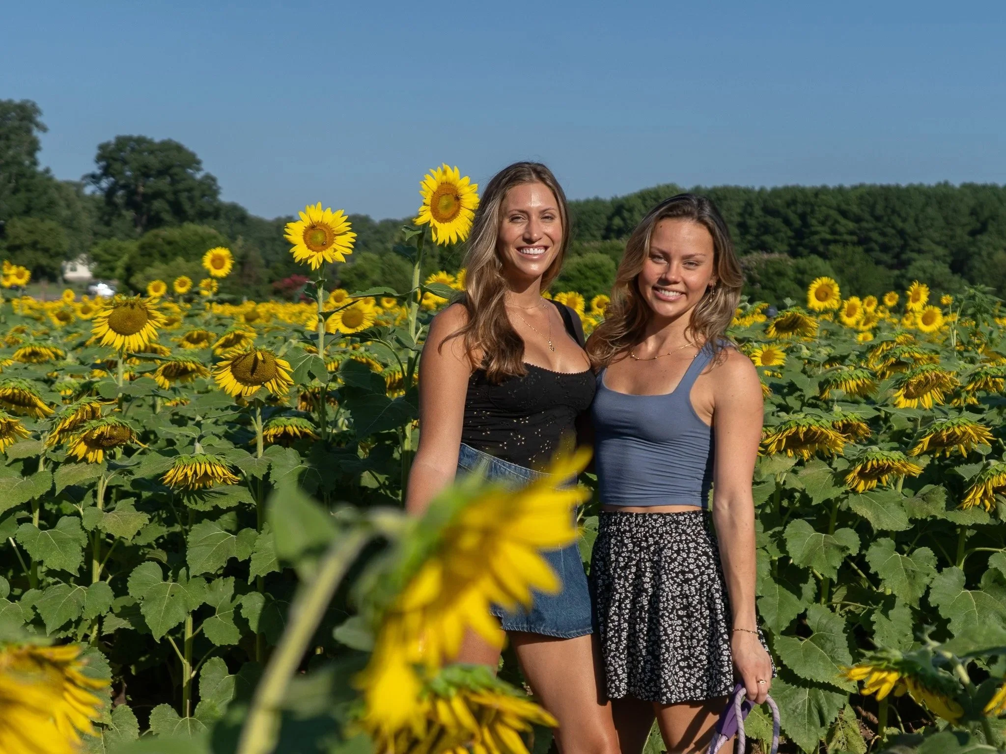 Couples pic in a field of sunflowers