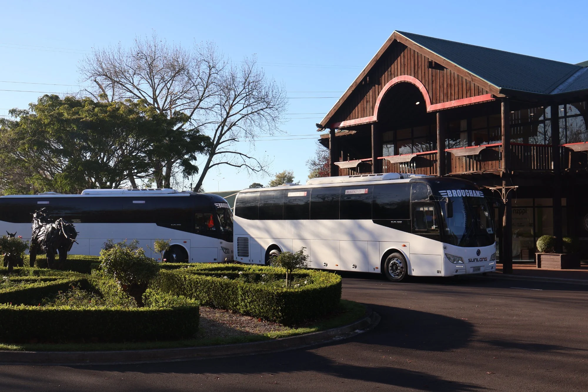 Buses.jpg