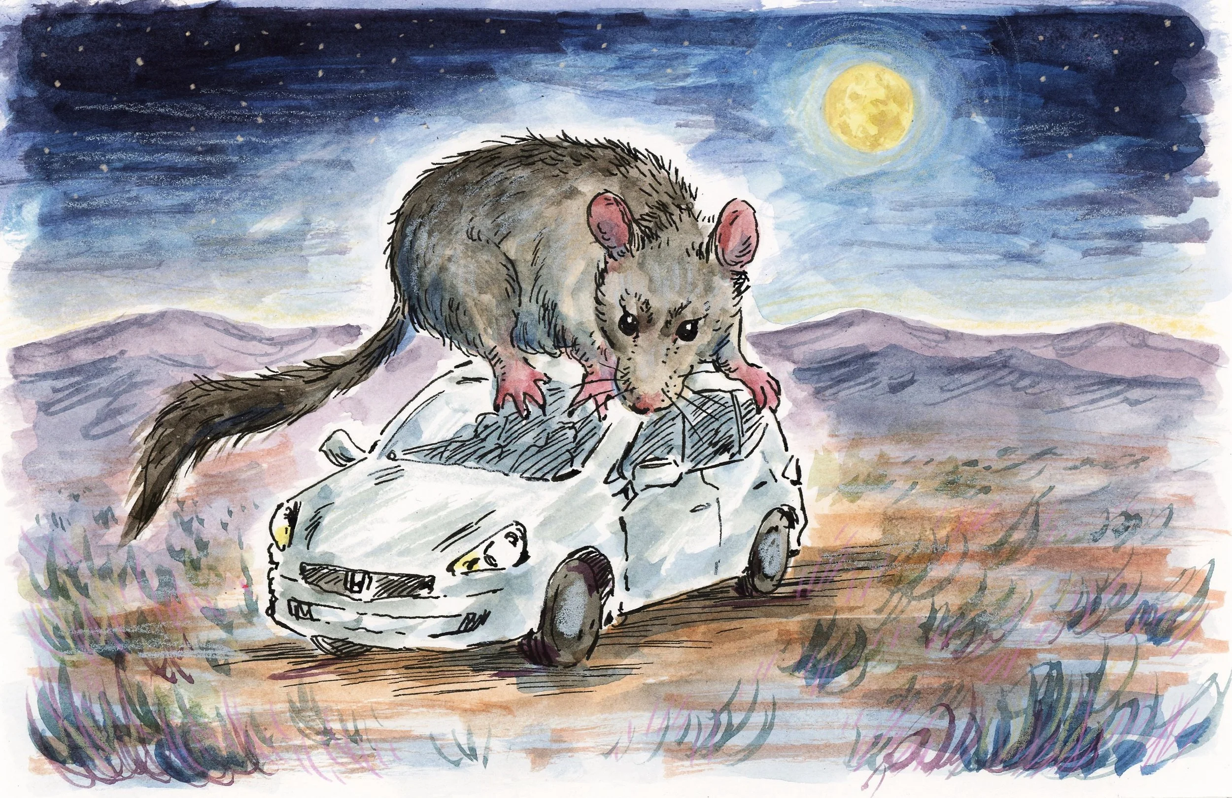 RAT-ATTACK.jpg