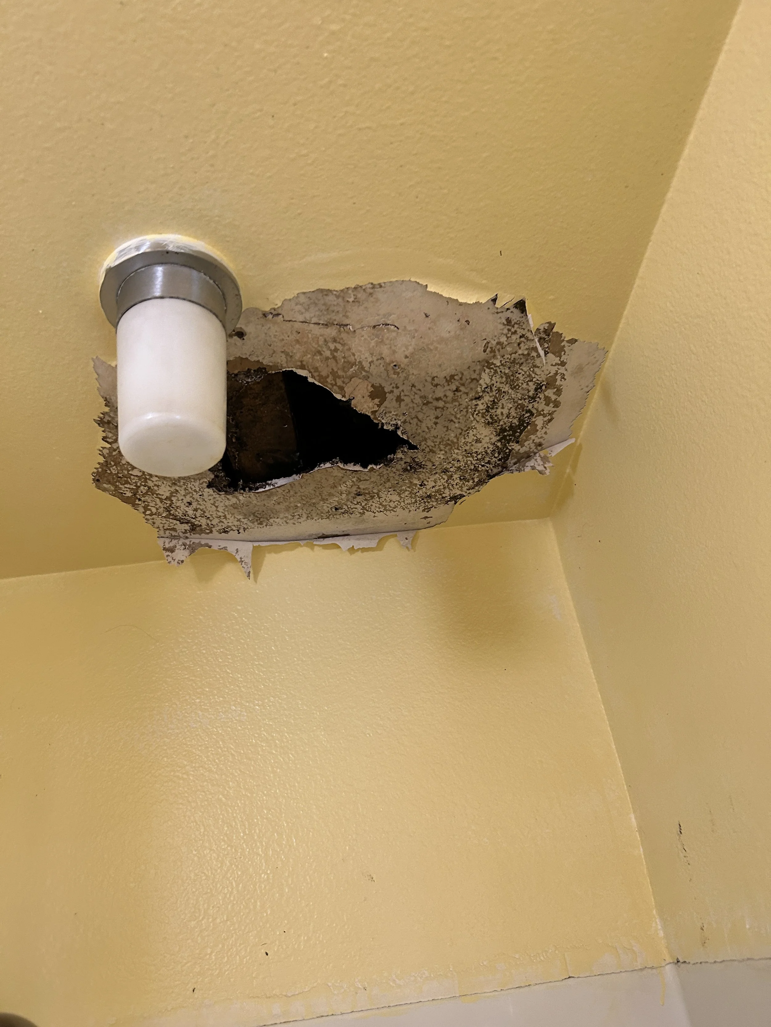 Bathroom Ceiling Repair - Before