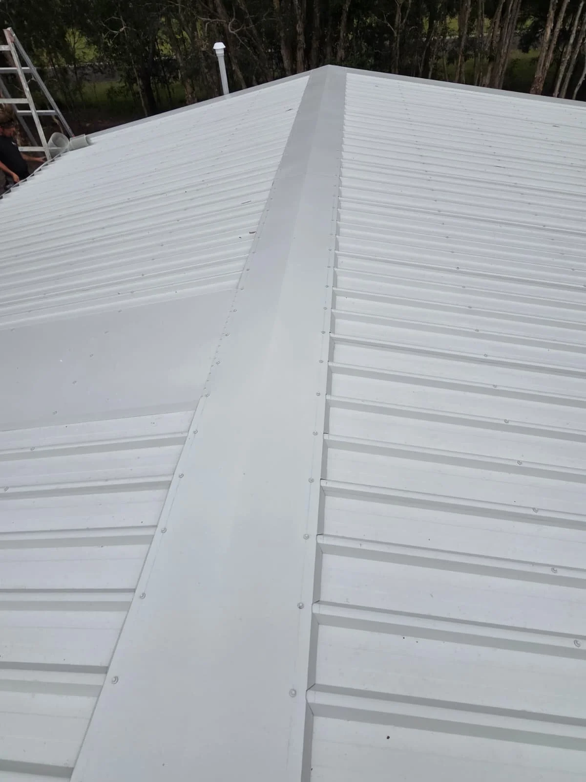 WhatsApp Image 2026-01-27 at 3.58.03 PM.jpeg