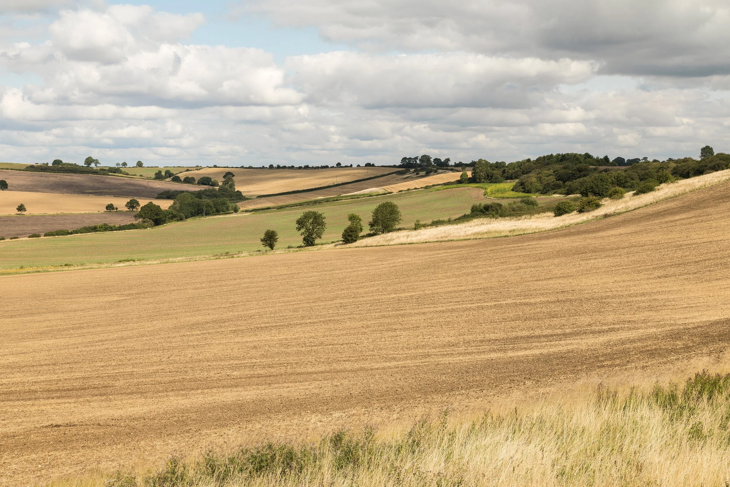 iStock-836323446-med.jpg