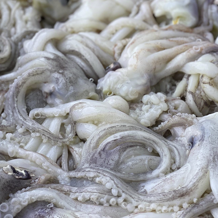 South Coast Fish | Eden's Finest Seafood