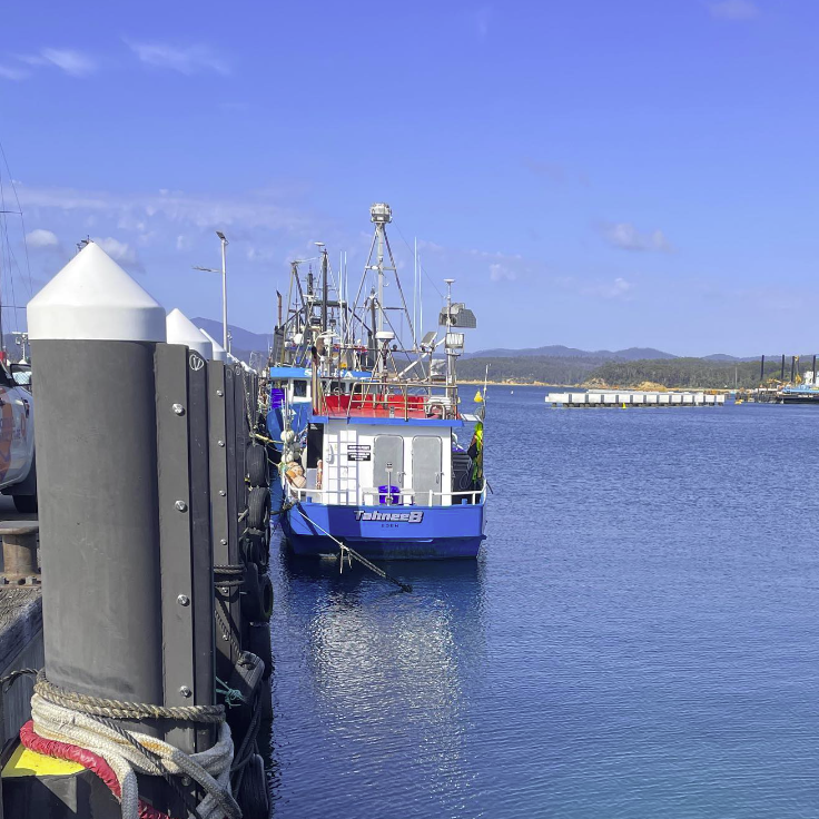 South Coast Fish Eden's Finest Seafood