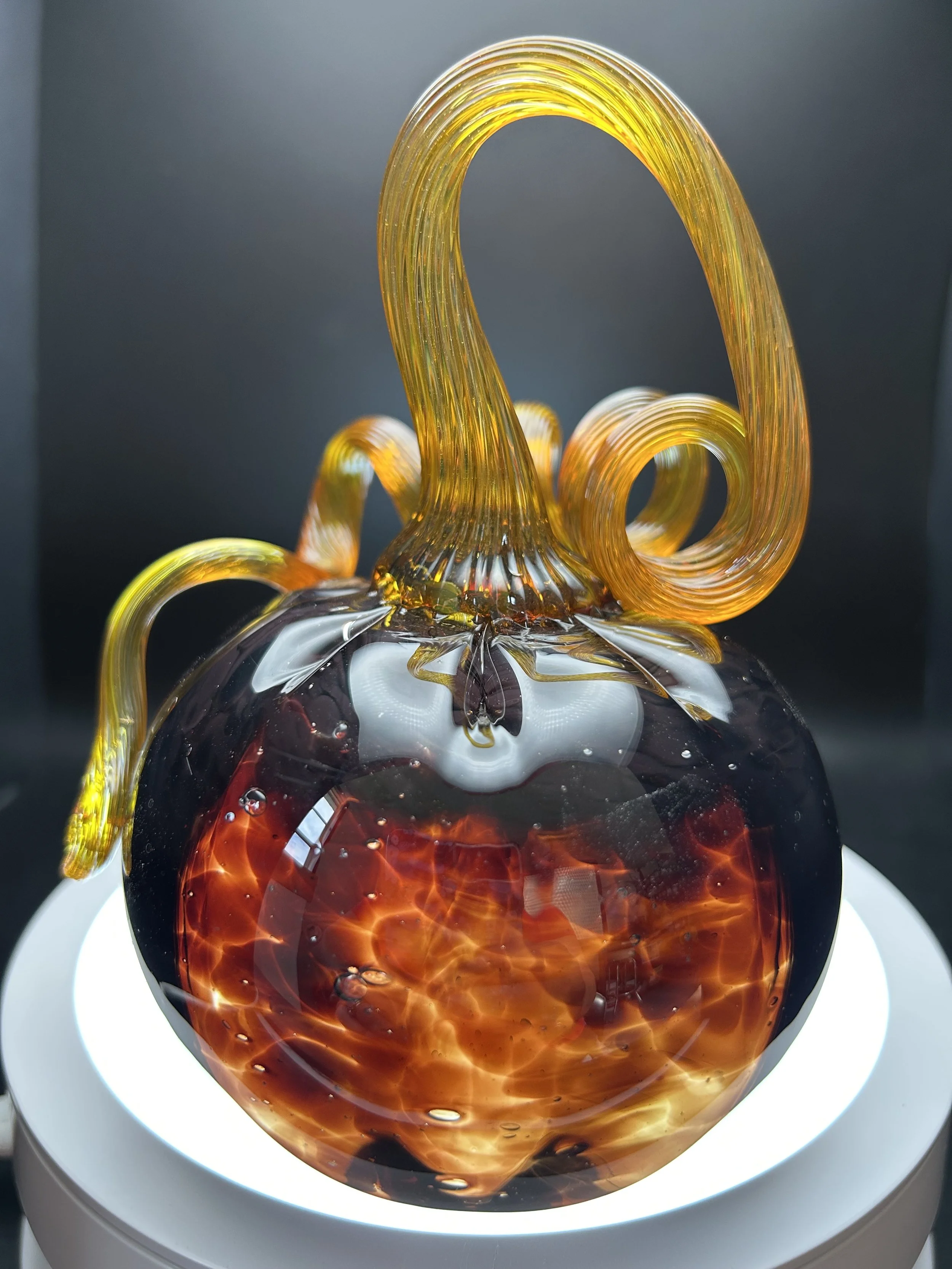Amber pumpkin back.jpg