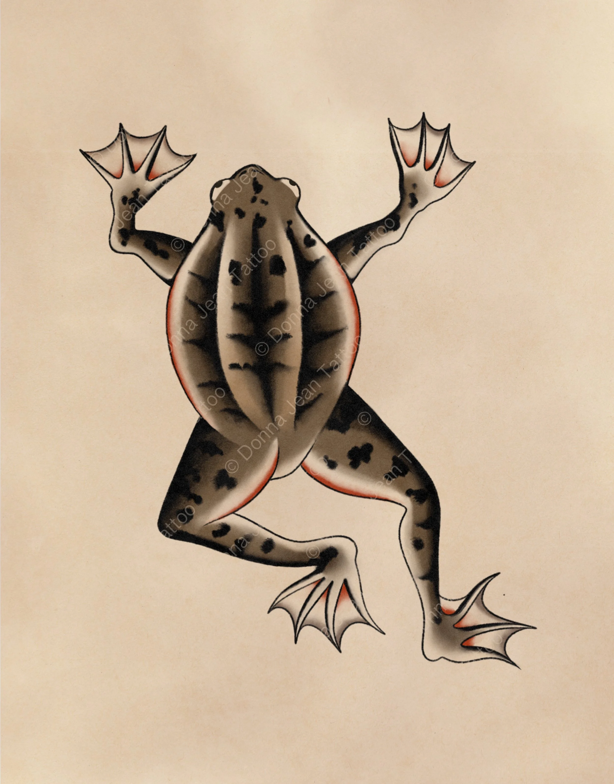 Frog - minimum 4.5"