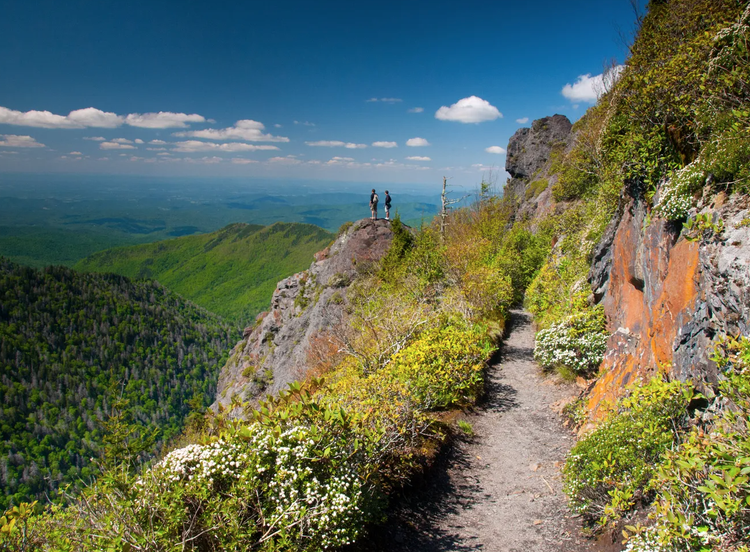 Best Hikes In Great Smoky Mountains National Park Top Hikes In