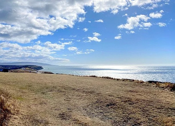30+ acres Cap le Moine ..... NOW ....  $65,000